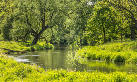 Siedem mostów Bystrzycy