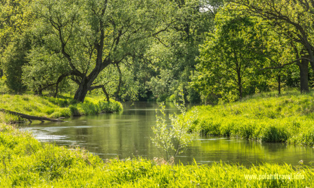 Siedem mostów Bystrzycy