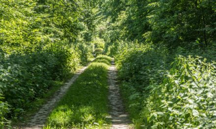 Natura2000 dla koneserów