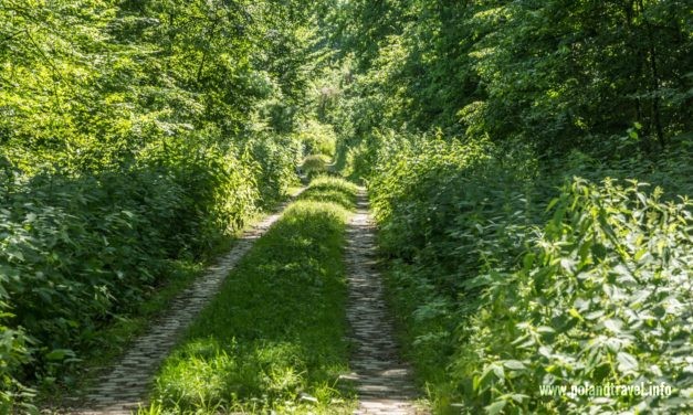 Natura2000 dla koneserów