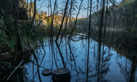 Wzgórza Strzelińskie cz2