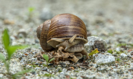 Stobrawski Park Krajobrazowy na rowerze cz1