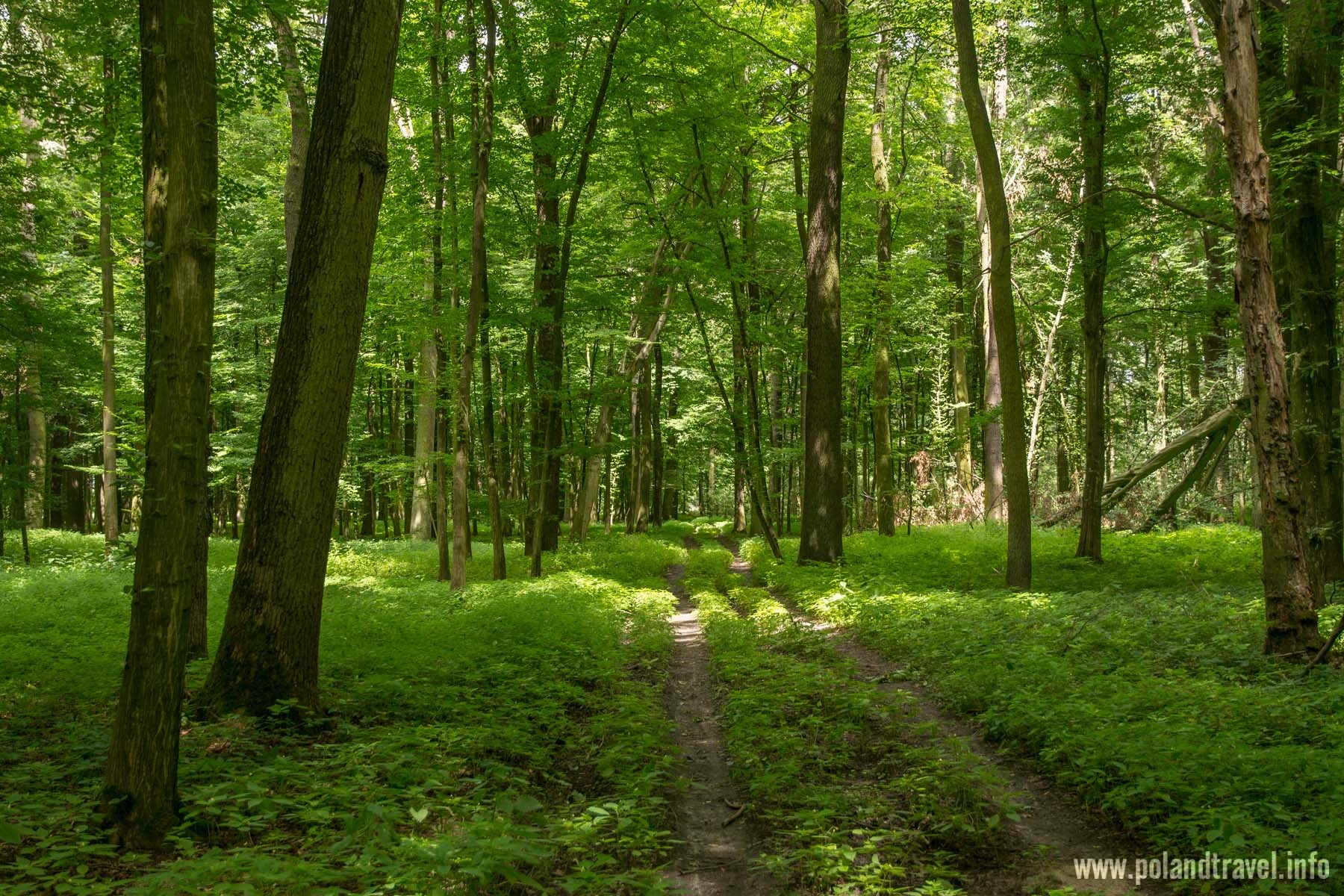 Stobrawa Rzeka Stobrawski Park Krajobrazowy na rowerze cz2 | Trasy rowerowe i ...