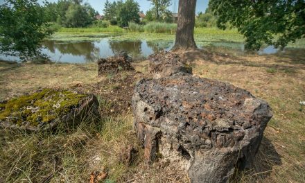 Historie wołowskie cz1