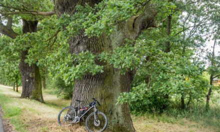 Stobrawski Park Krajobrazowy na rowerze cz3 B